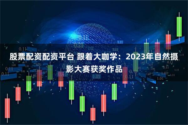 股票配资配资平台 跟着大咖学：2023年自然摄影大赛获奖作品