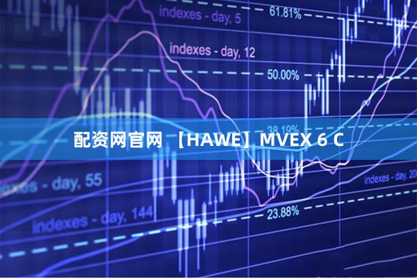 配资网官网 【HAWE】MVEX 6 C