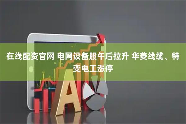 在线配资官网 电网设备股午后拉升 华菱线缆、特变电工涨停